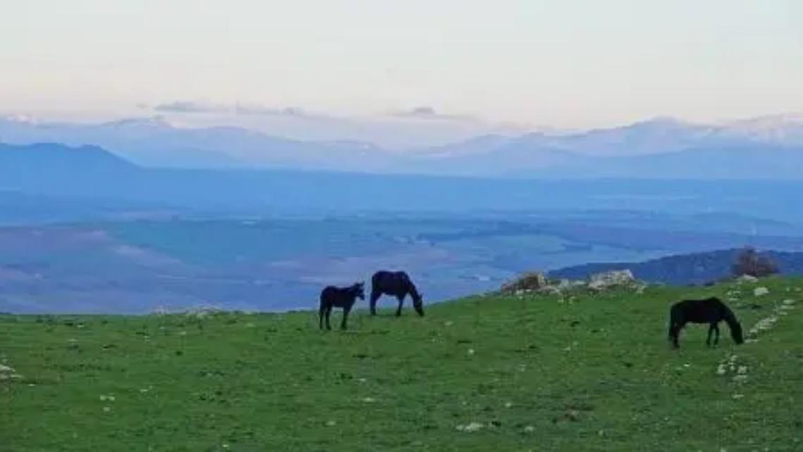 Visite trekking ufficiali con guide riconosciute e abilitate