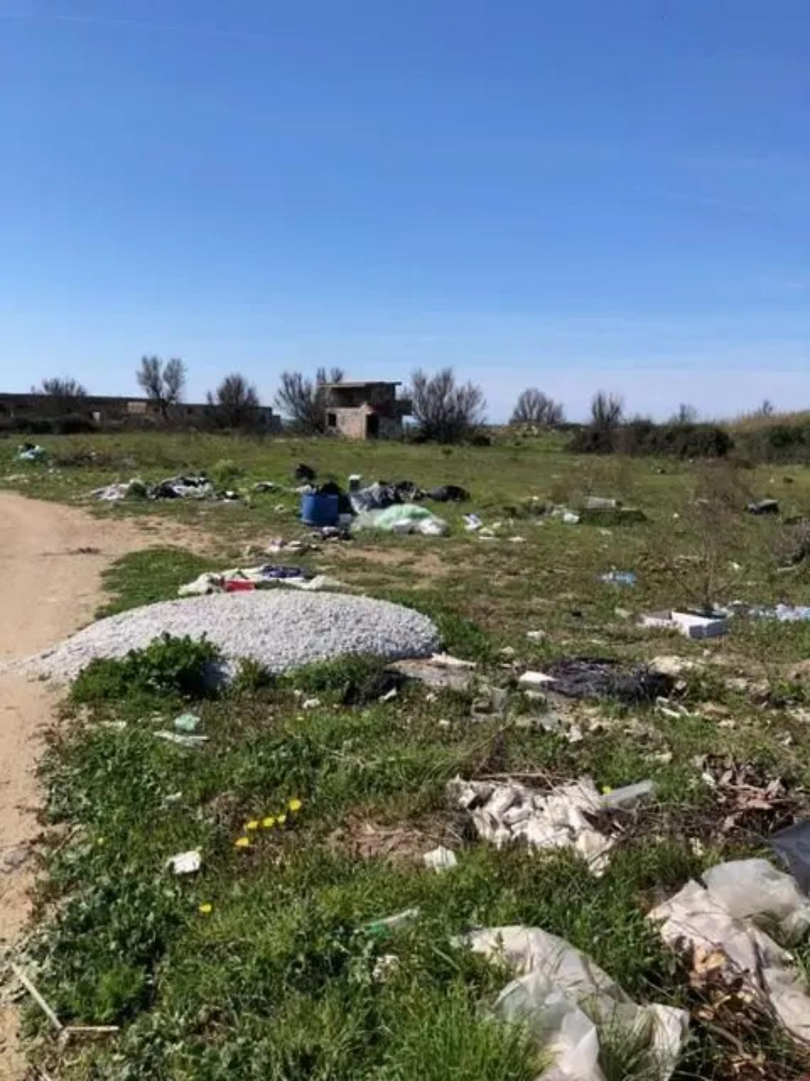 &laquo;Pesce luna &egrave; ancora preda degli incivili&raquo;