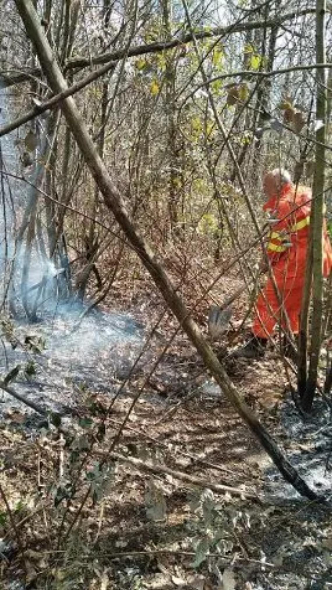 Incendio al Castagneto: lungo lavoro per la Prociv