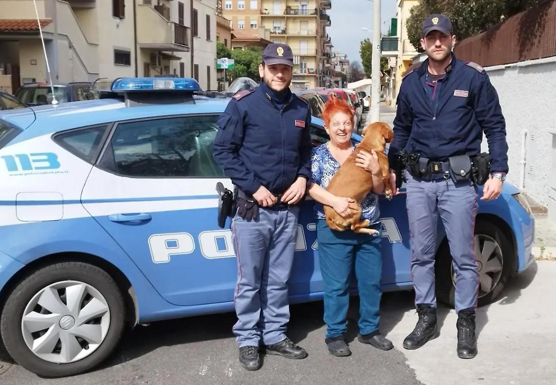 Ritrovano un cane in strada e lo riconsegnano alla proprietaria: storia a lieto fine a Ladispoli