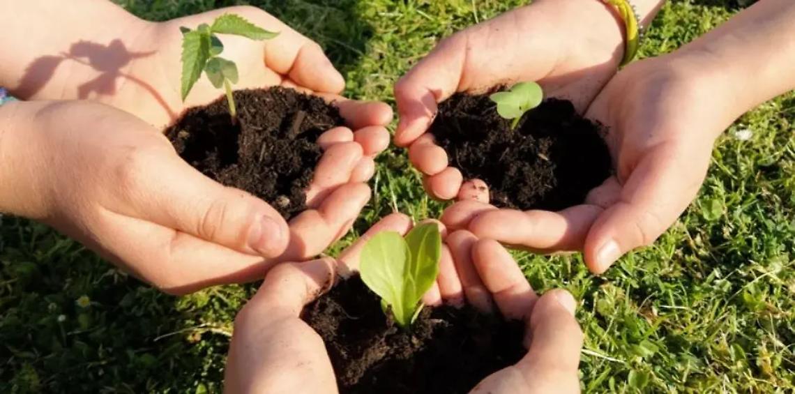 Santa Marinella, a scuola con l&rsquo;ambiente e la salvaguardia della biodiversit&agrave;