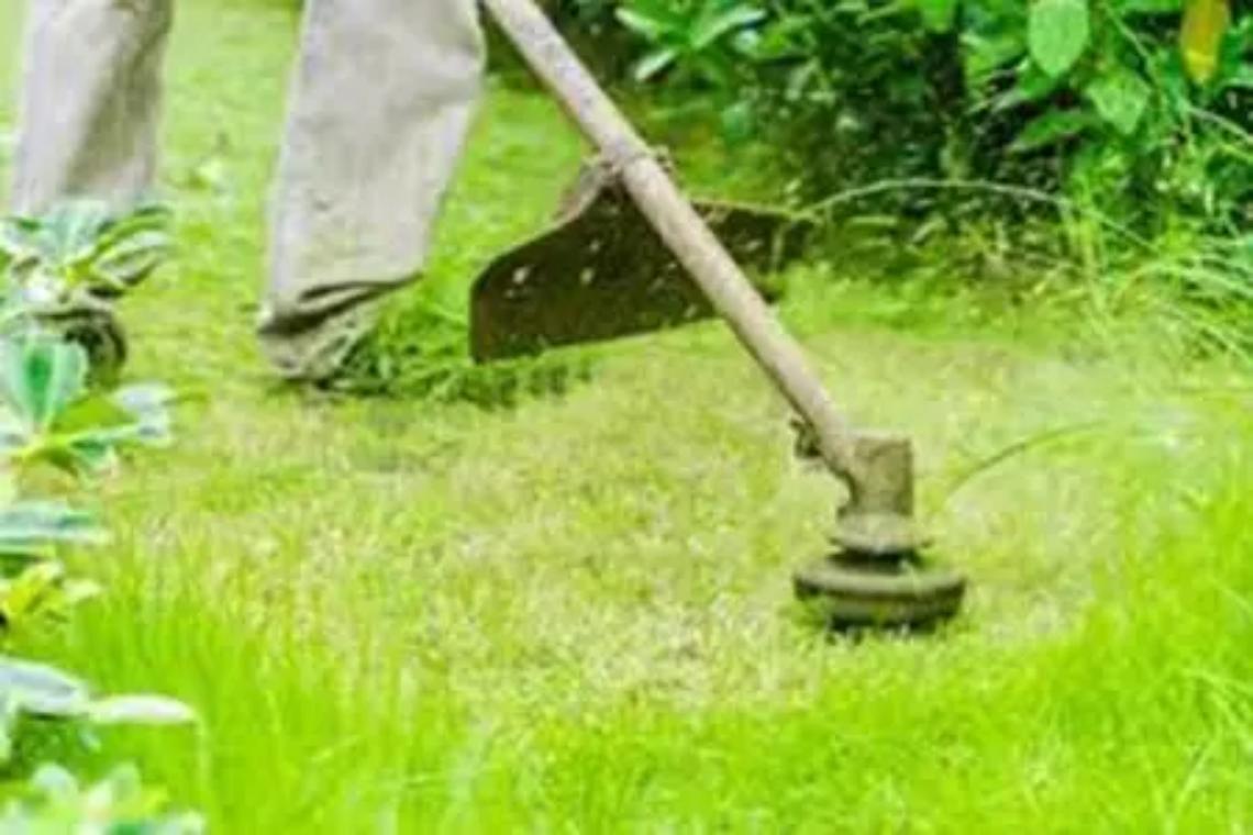 Sfalcio: riprendono gli interventi