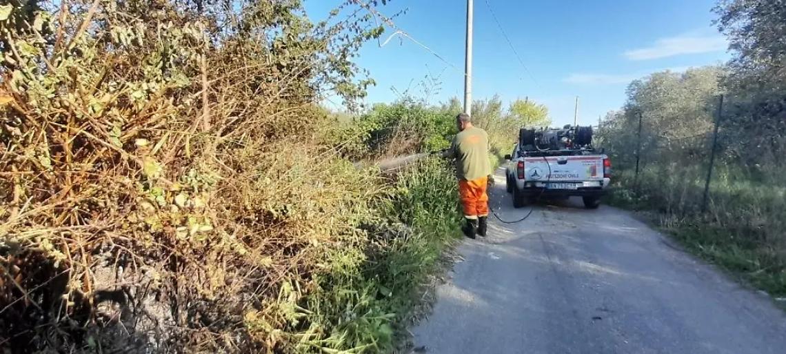 Gli incendi tornano a far paura nel comprensorio etrusco