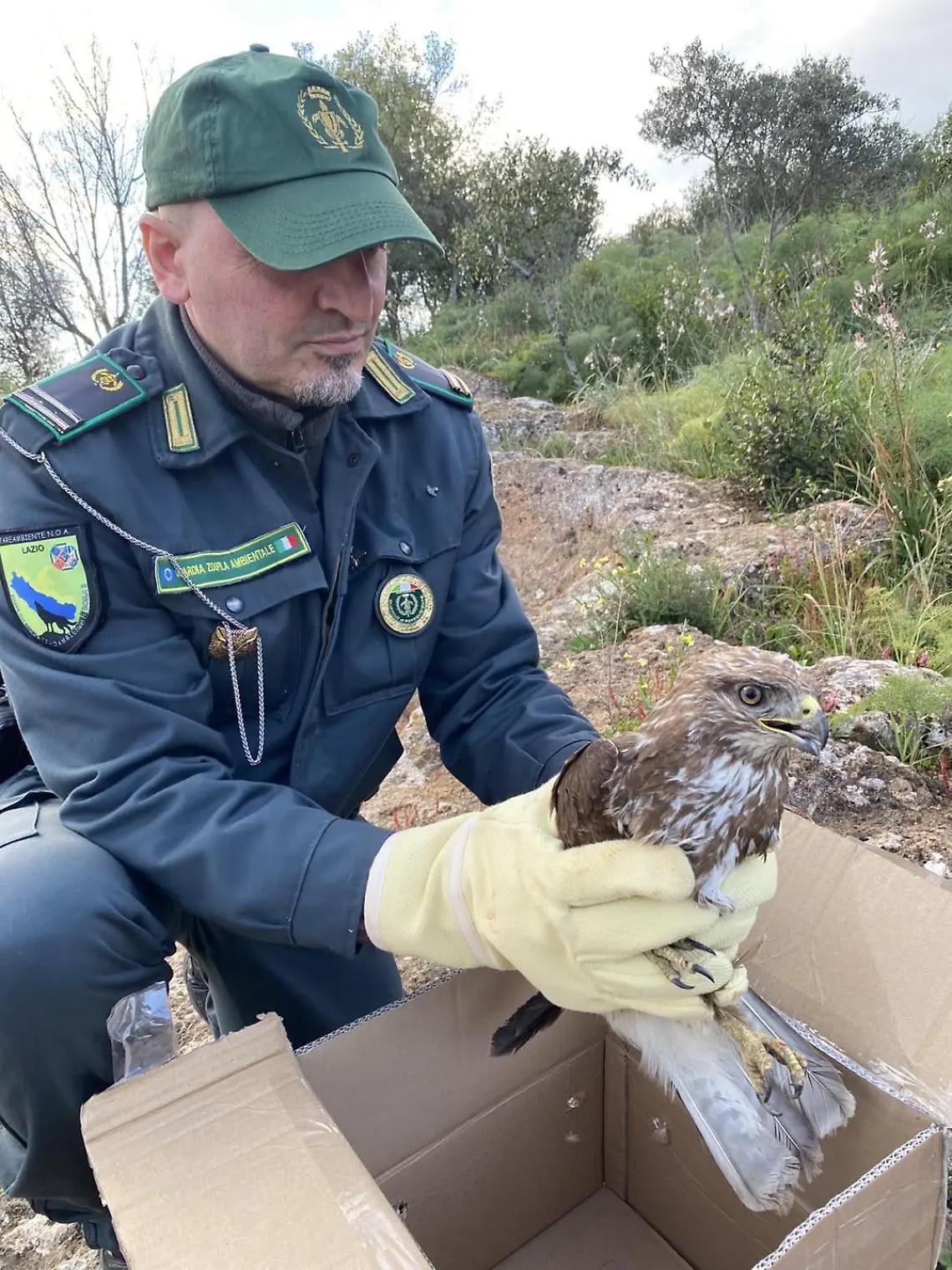 Fareambiente e Polstrada salvano &ldquo;Pasqualina&rdquo;