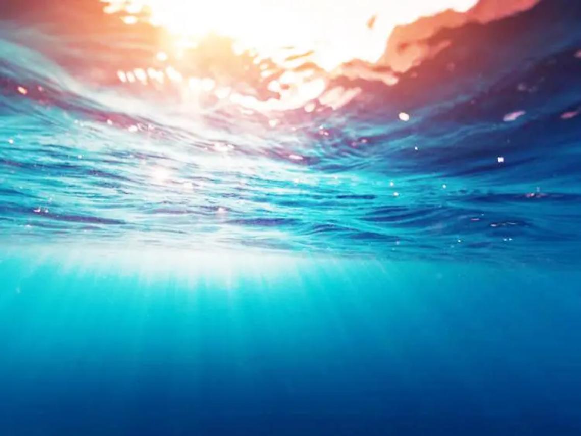 Salvaguardia del mare, torna il festival Seif