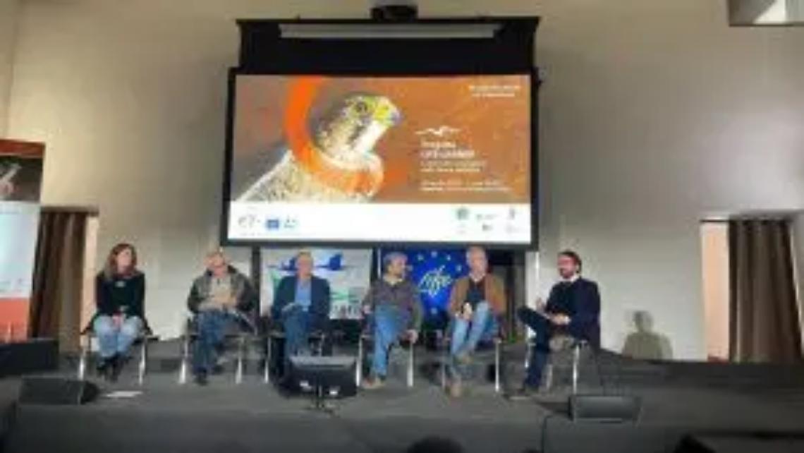 Fauna selvatica, bene il convegno sui centri di recupero per gli animali in difficolt&agrave;