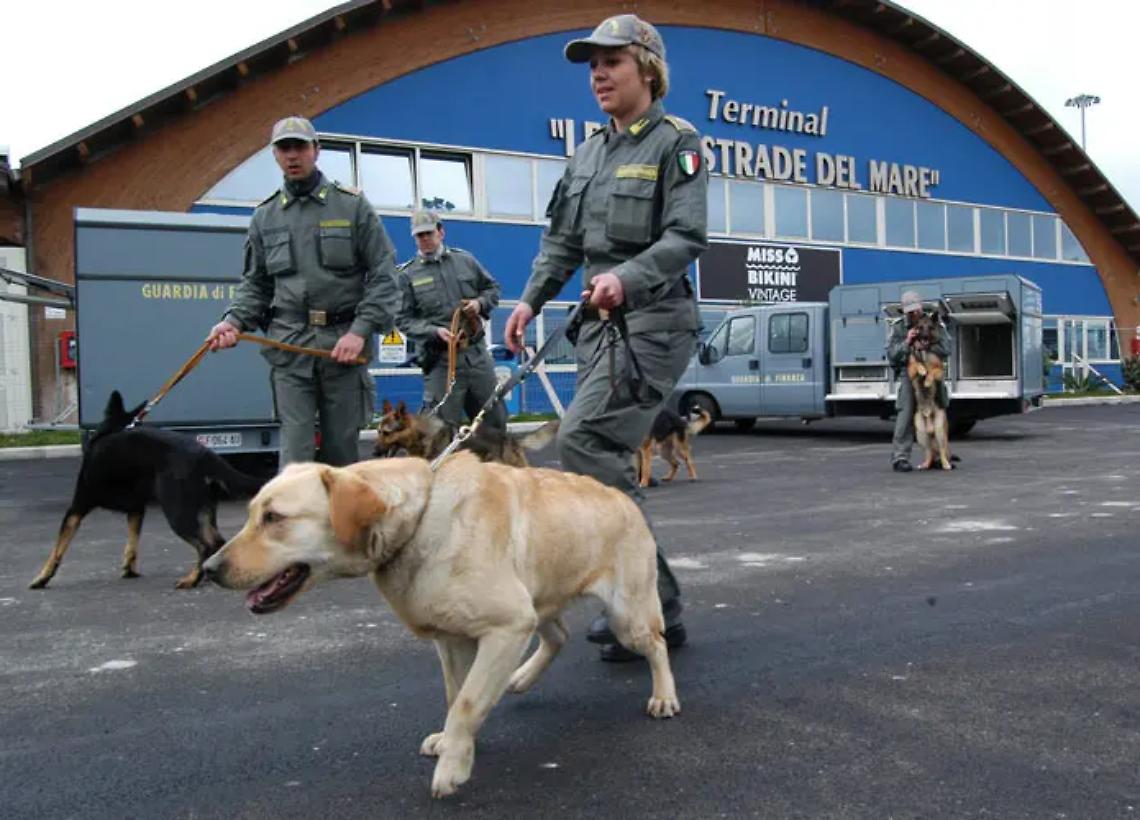 Droga, maxi sequestro in porto: arrestato con 4 tonnellate di hashish sul camion