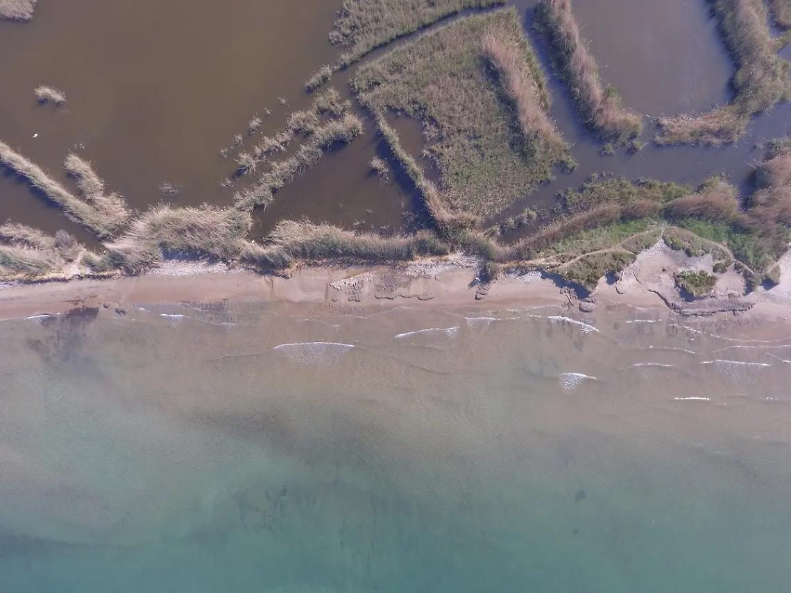 Petizione per fermare i progetti vicino la palude