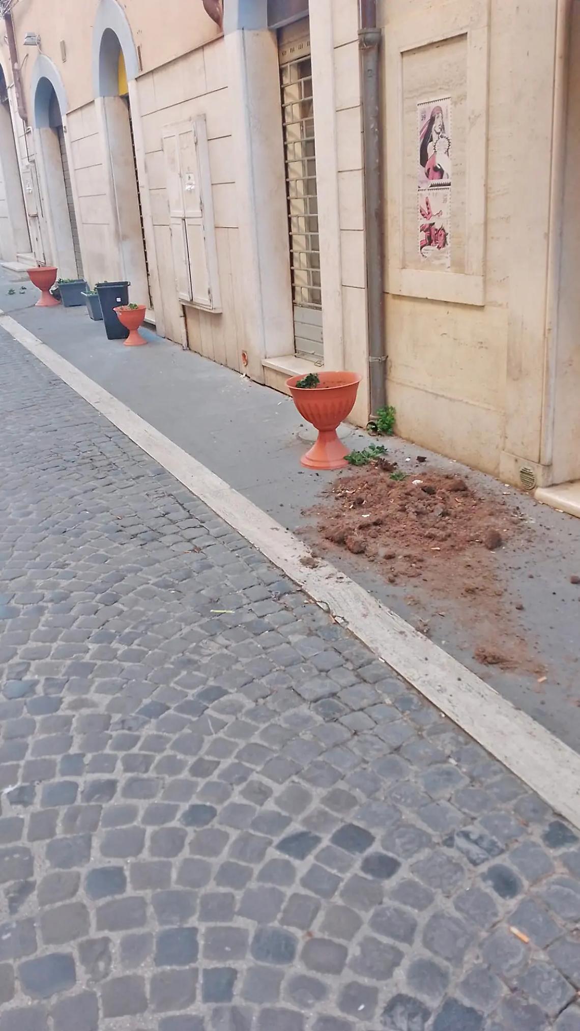 Vandali in azione nel centro storico