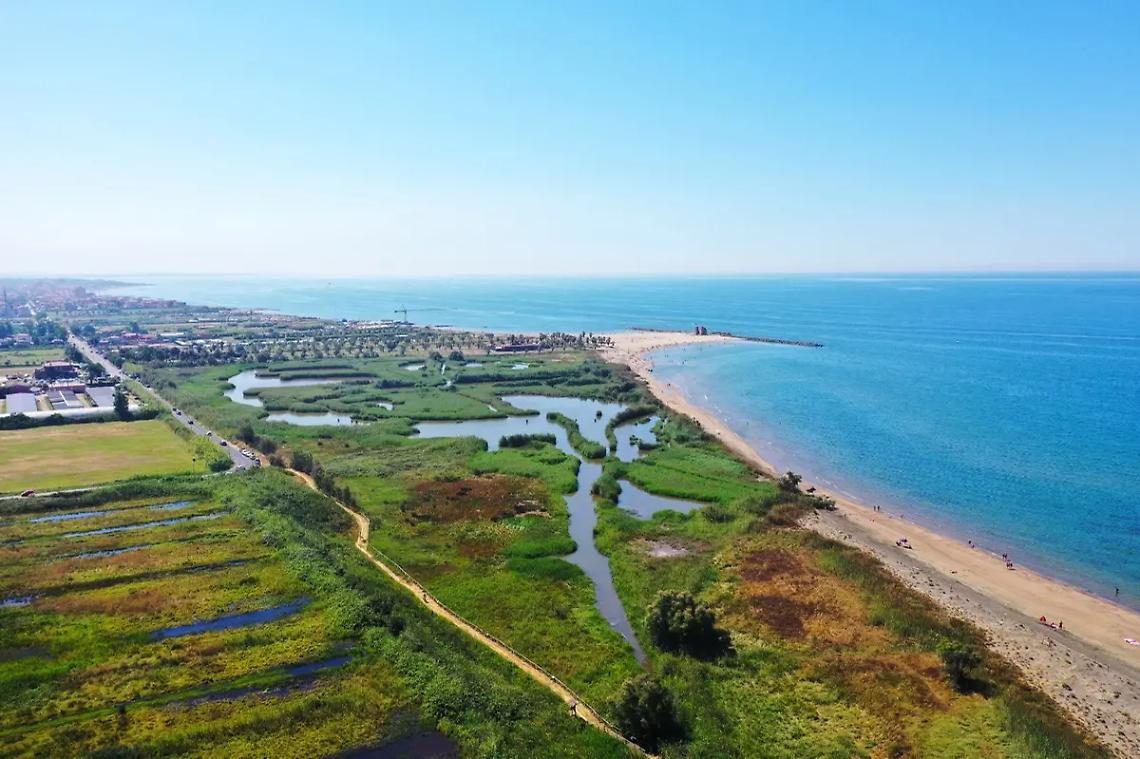 Torre Flavia, stop a tutti i voli sulla palude