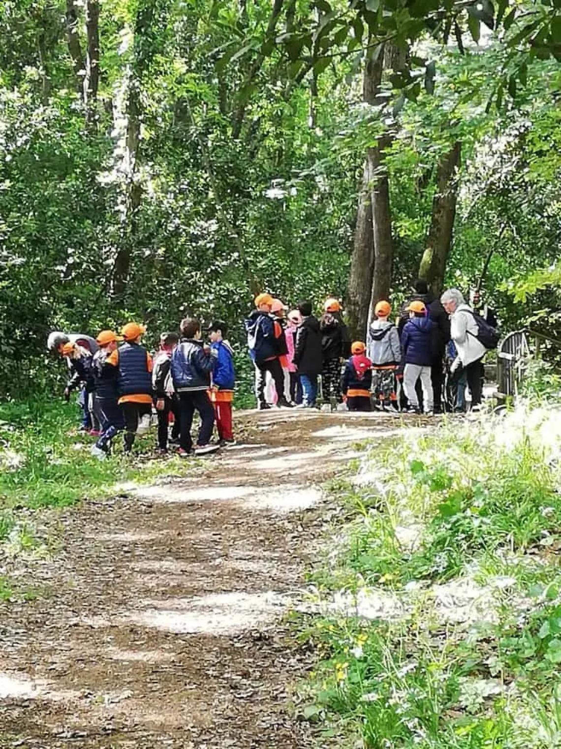 Una mostra di pittura nel bosco di Valcanneto