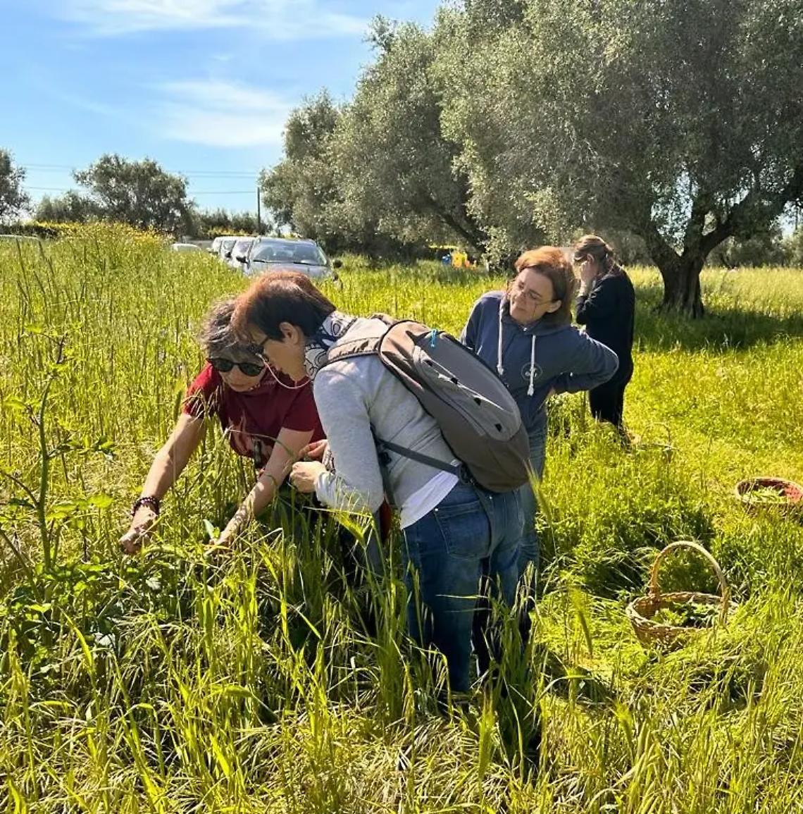 Nuova Acropoli: un mese ricco di attivit&agrave;