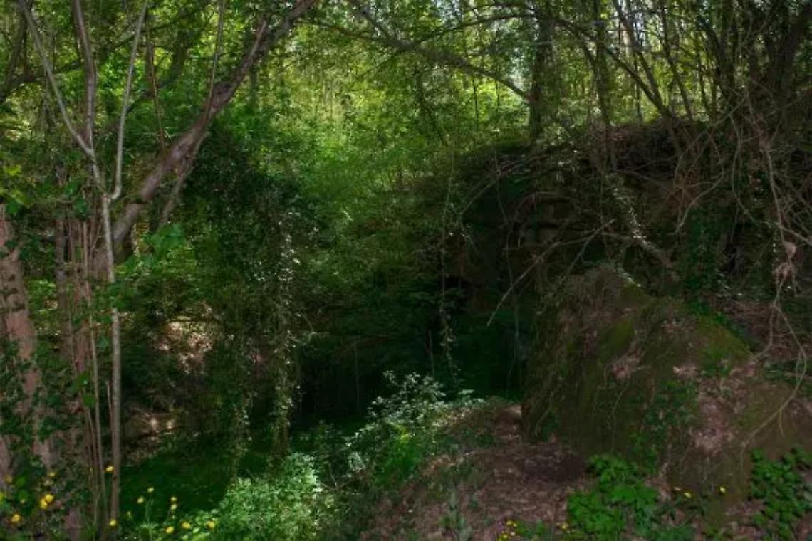 I piccoli della scuola primaria alla sorgente che alimenta il paese