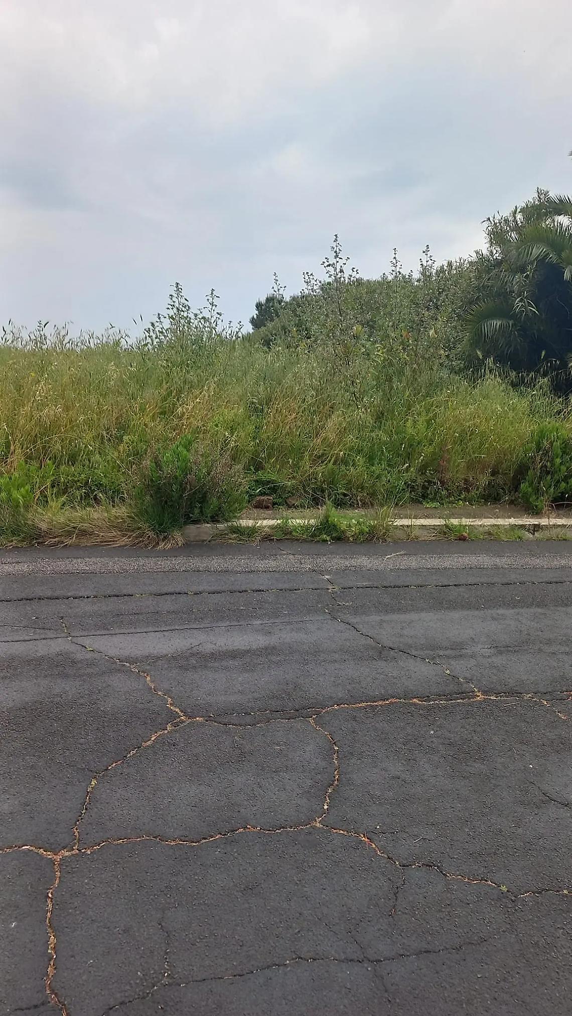 &laquo;Marciapiedi invasi dalle erbacce ma il comune non interviene&raquo;