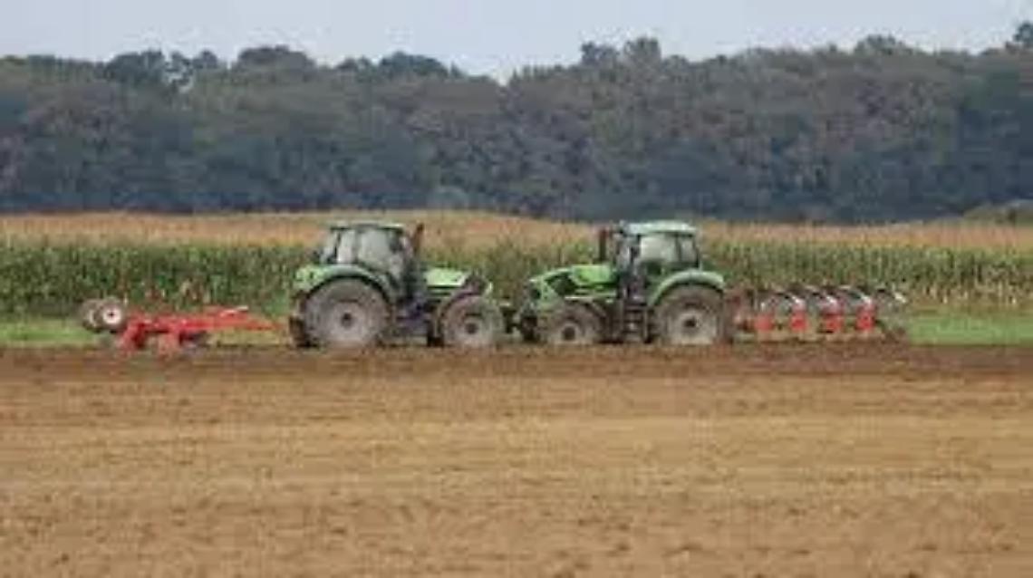 Regione, sbloccati 20 milioni a favore delle aziende agricole
