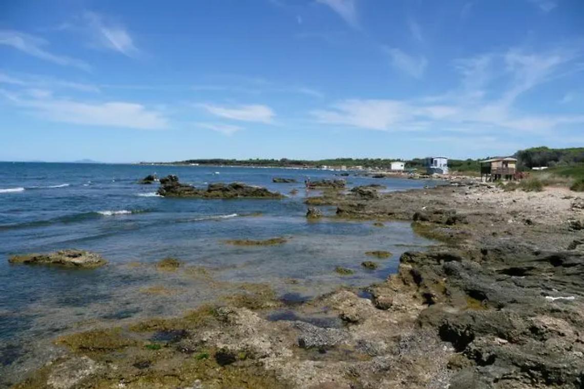 Itticoltura, Puleo: &laquo;Grazie a chi ha creduto di poter sconfiggere Golia&raquo;