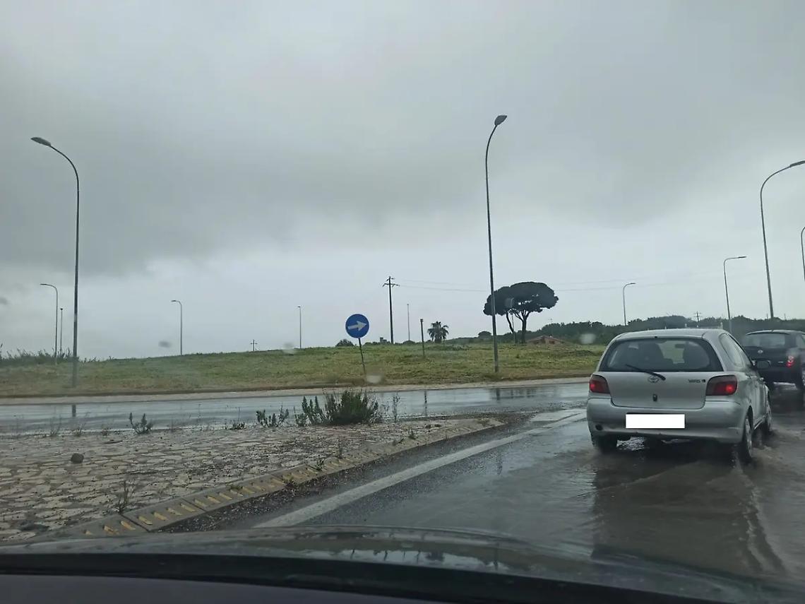 Erba alta sulla rotatoria: alla fine interviene Anas