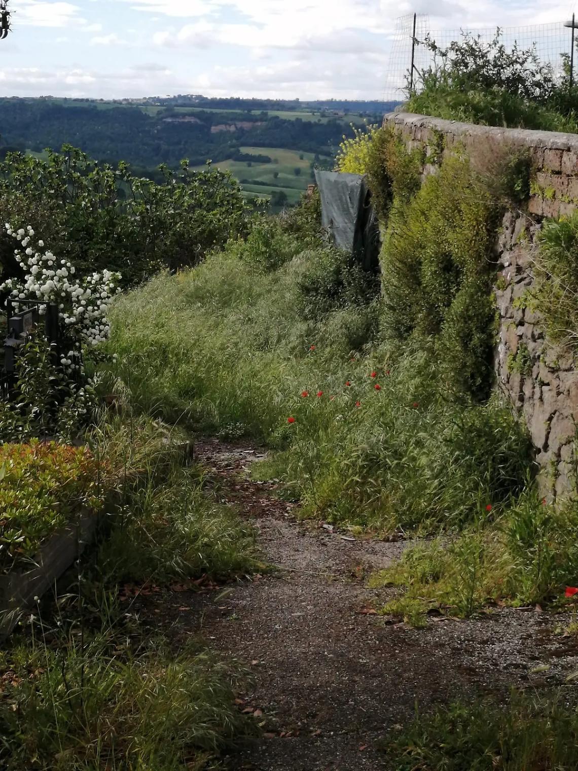 L&rsquo;erbaccia soffoca Mugugnano: ripulita la piazzetta, intorno c&rsquo;&egrave; la giungla