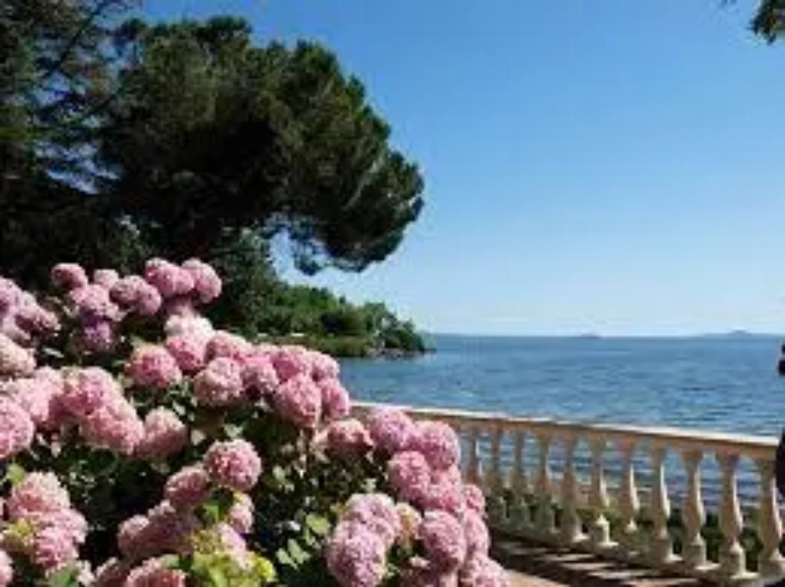 Tripudio di colori e profumi alla festa delle ortensie