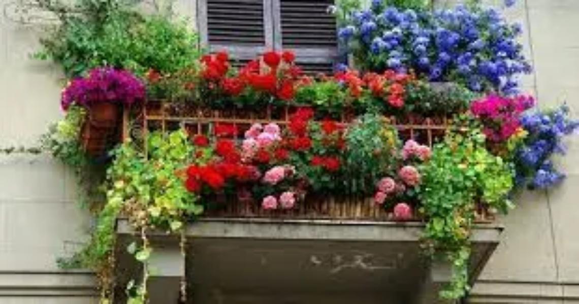 A Civita Castellana torna il concorso &ldquo;Balcone fiorito&rdquo;