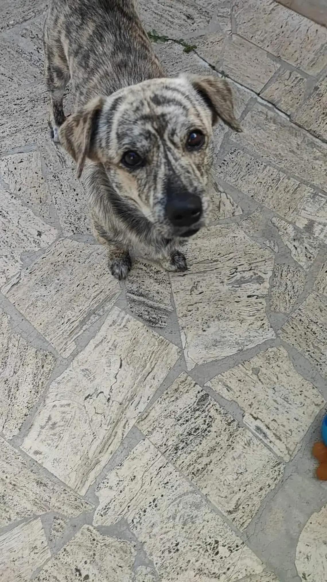 &laquo;Aiutatemi a ritrovare il mio Ben&raquo;