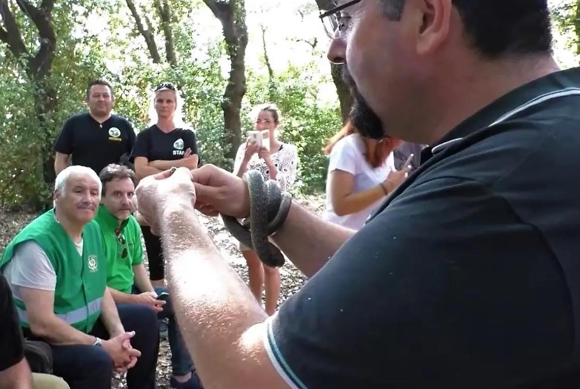 Conoscere gli animali, sabato incontro tra l&rsquo;uomo e i serpenti