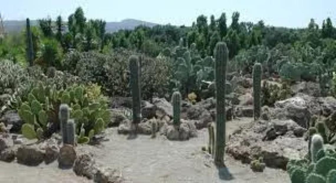 &ldquo;Aromatria&rdquo;, al via la seconda edizione