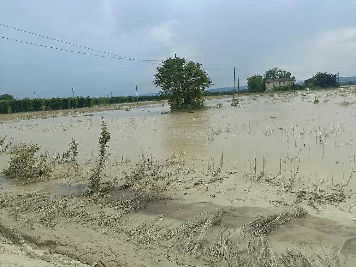 &laquo;Non potevamo non rispondere alla chiamata&raquo;