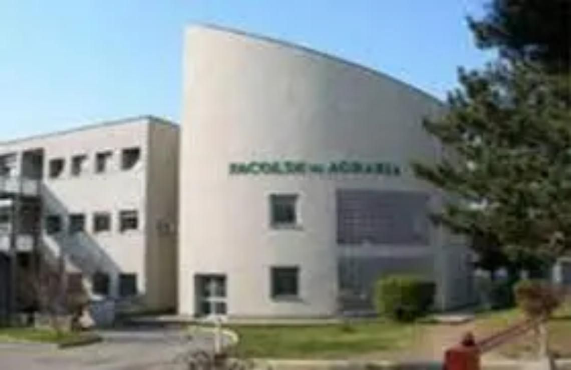 &ldquo;Incontri con l&rsquo;autore&rdquo;, nuovo appuntamento all&rsquo;Unitus