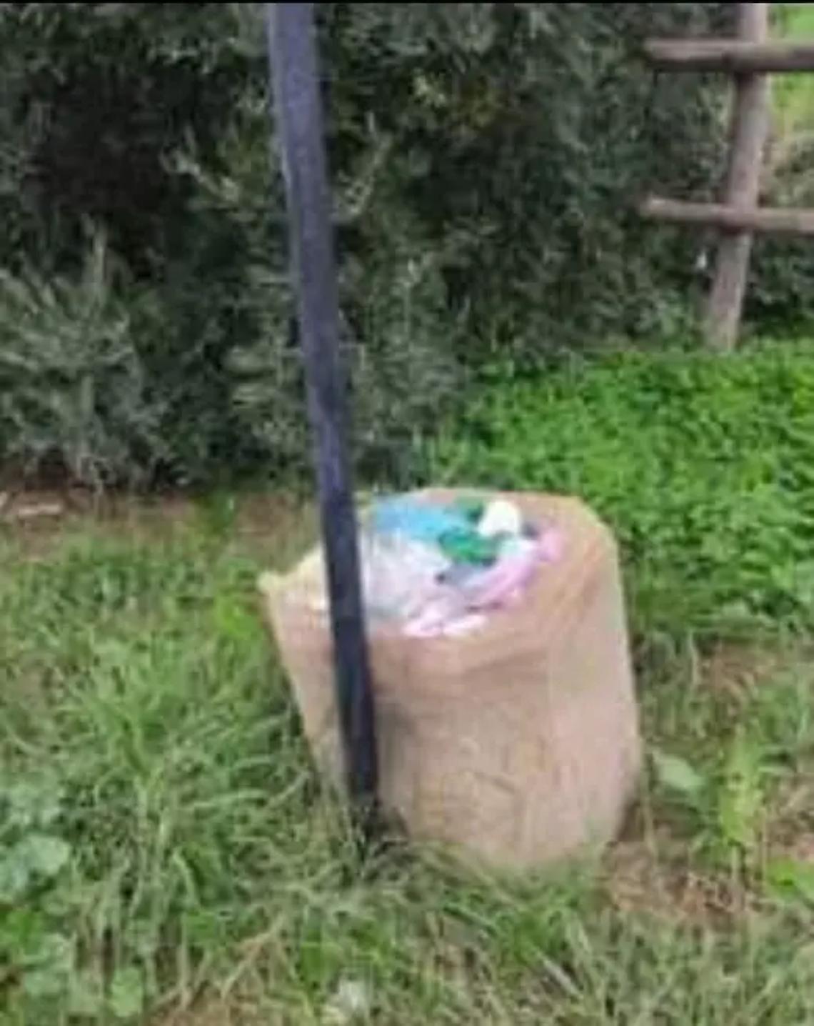 Allumiere, &laquo;entro il 15 giugno lavori di pulizia dei terreni incolti&raquo;