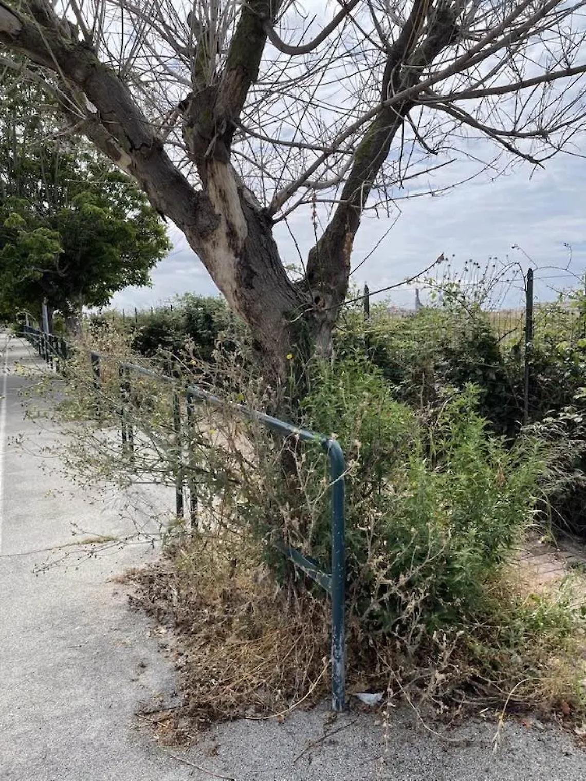 Marciapiedi invasi da erbacce e sterpaglie