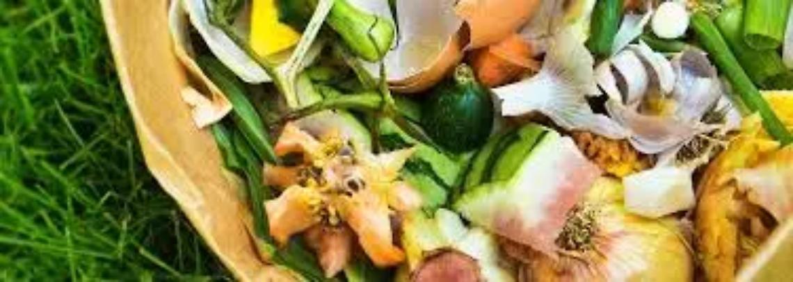 Umido, al via la terza raccolta aggiuntiva