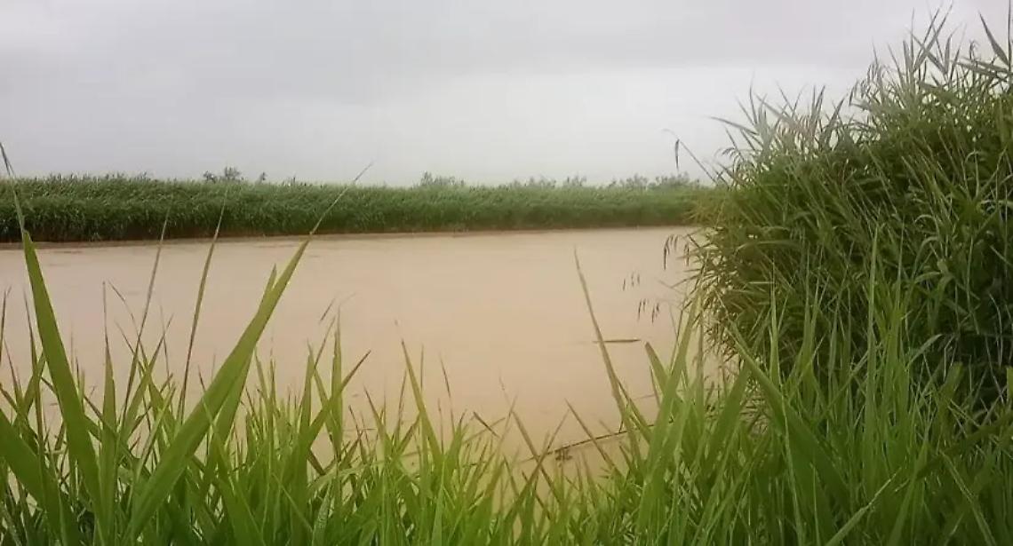 Pioggia, fiume Mignone sorvegliato speciale