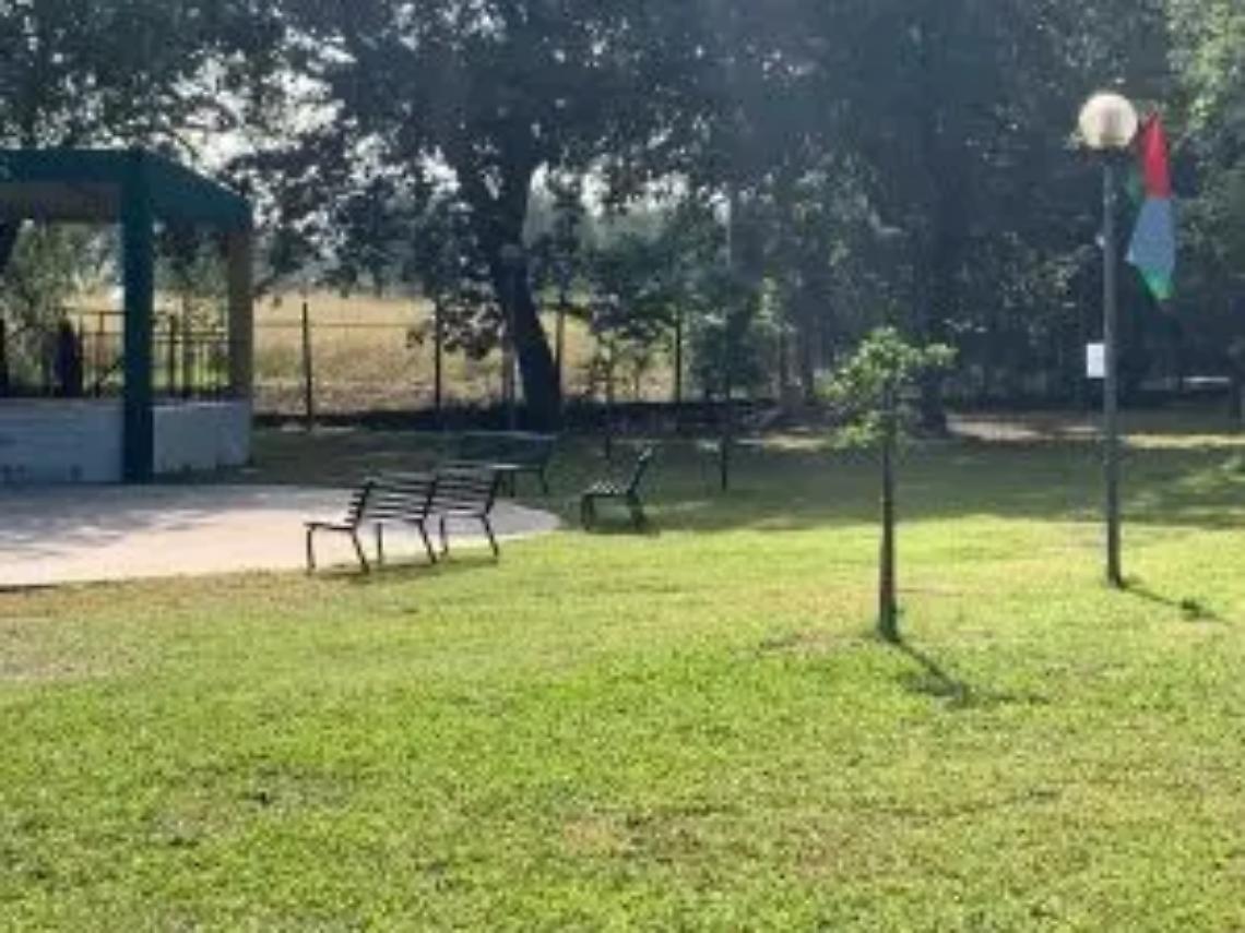 A Sipicciano la prima festa dei fiori di zucca