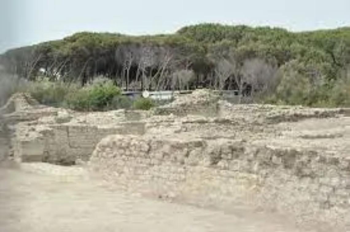 Frasca, Marietta Tidei: &laquo;Vicenda grottesca, intervenga il sindaco&raquo;