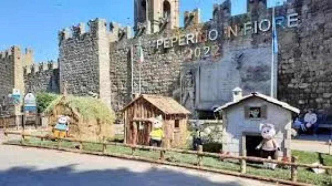 &ldquo;Peperino in fiore&rdquo;, un&rsquo;esplosione di colori e profumi