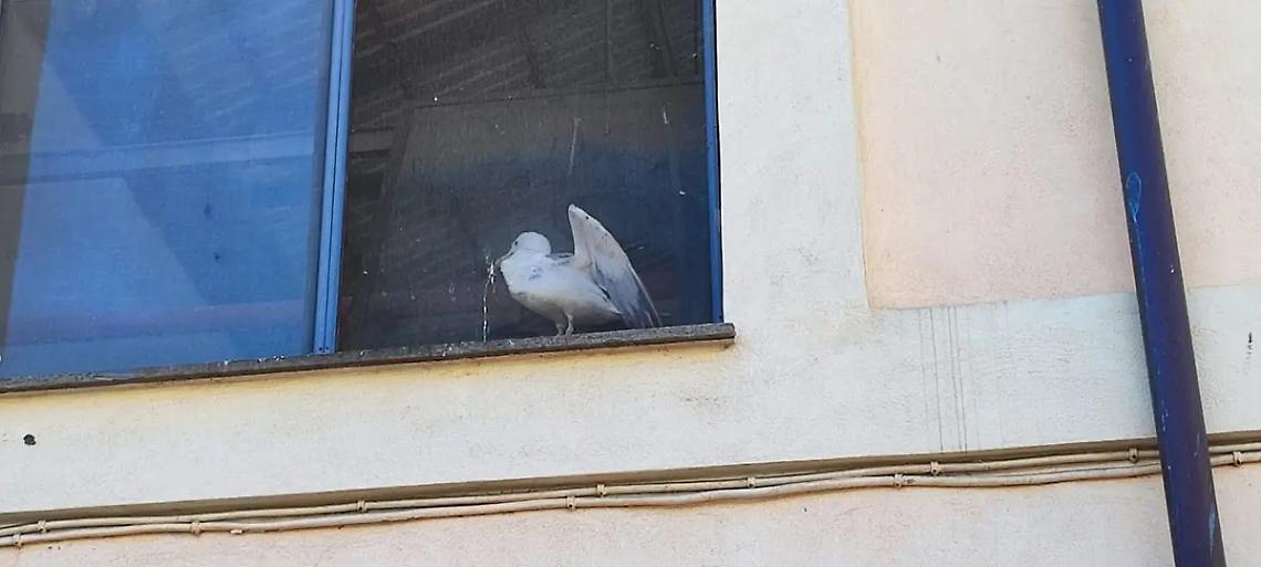 Mercato, si riaccende la polemica: gli operatori chiedono fatti concreti