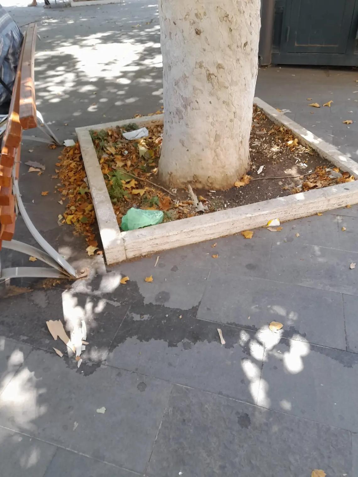 Largo D&rsquo;Ardia, allarme degrado