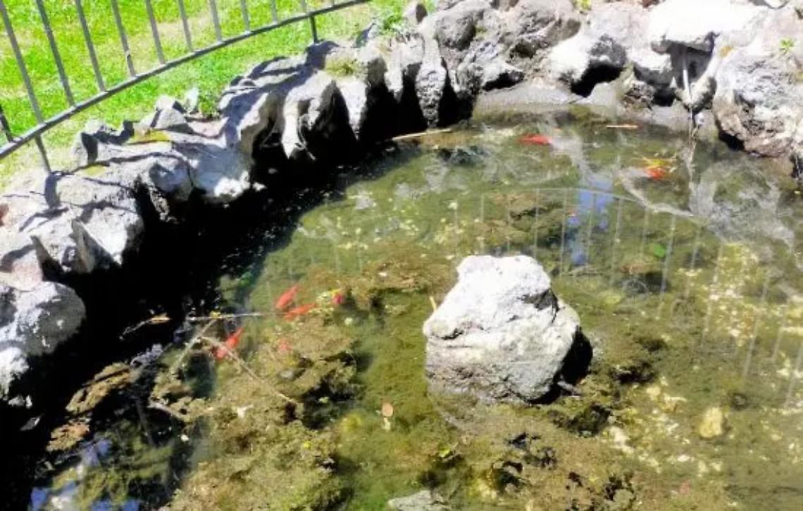 &laquo;Degrado e pericoli al giardino comunale&raquo;