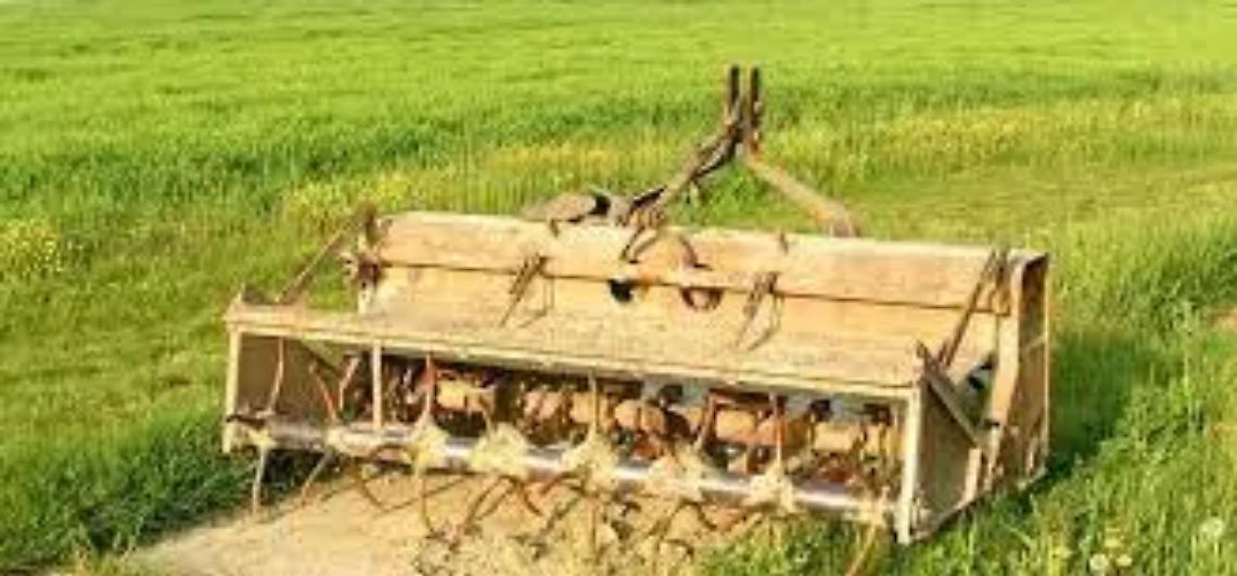 &laquo;Il mercato impone prezzi vergognosi&raquo;