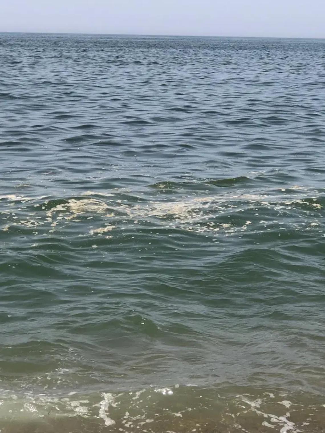 &laquo;Schiuma maleodorante&raquo; ma erano solo alghe