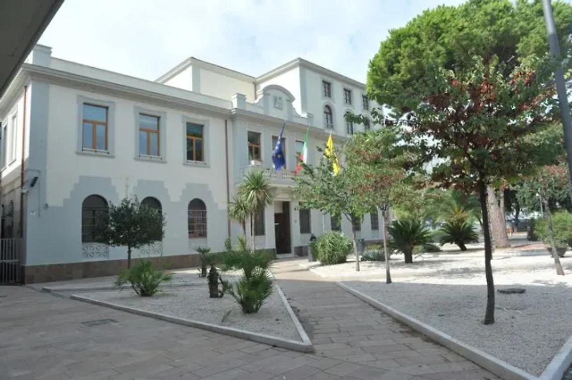 Truffe, il Comune di Civitavecchia lancia l&rsquo;allarme