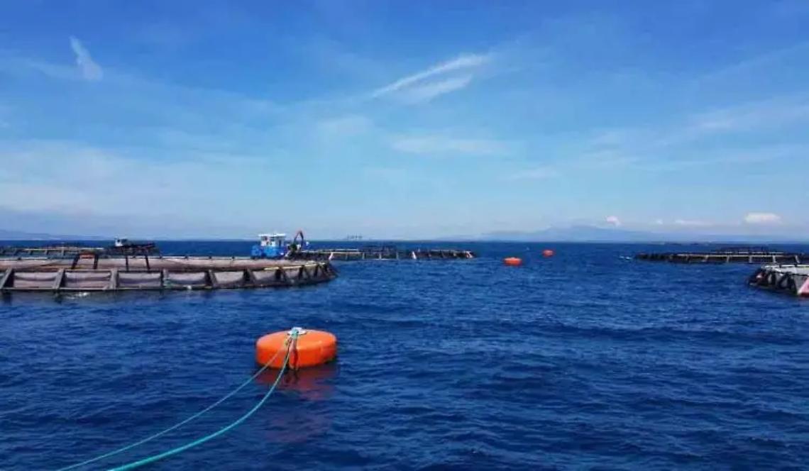 Itticoltura offshore, annullata la conferenza dei servizi: tutto da rifare