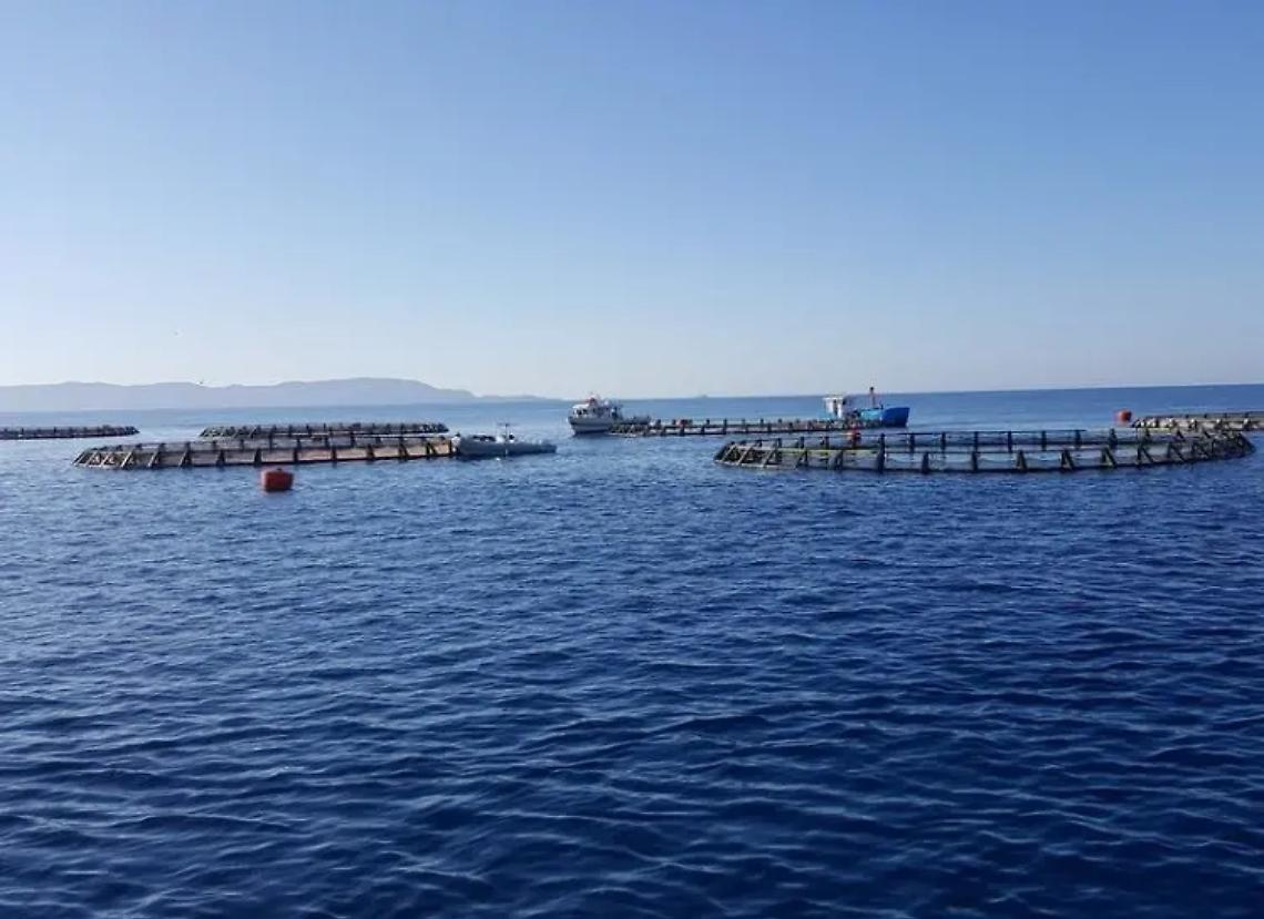 Itticoltura, Magliani: &laquo;Pericolo scongiurato&raquo;