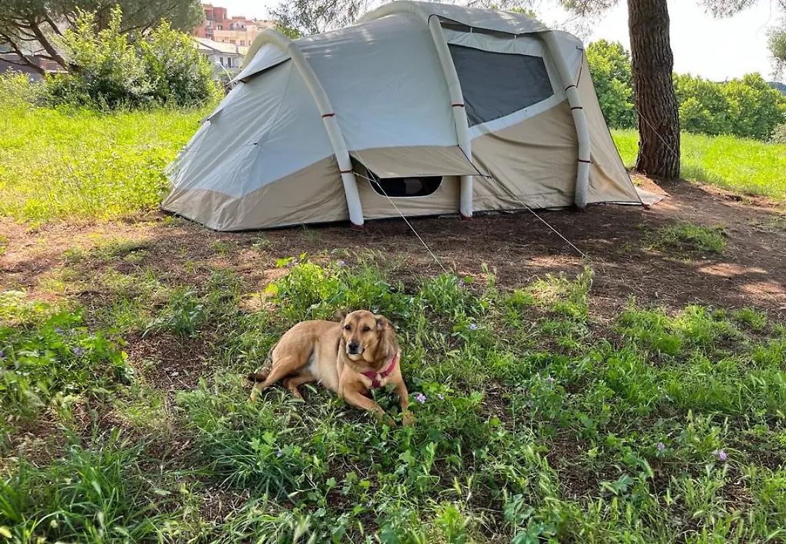 Botte, alcol e droga nella nuova casa di Elvira e Andrea