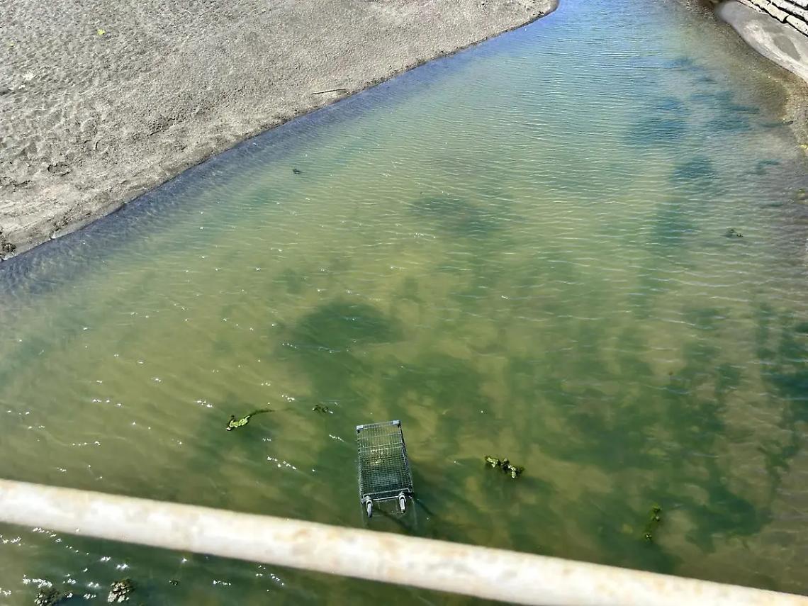 Dopo i monopattini, sul Sanguinara arrivano anche i carrelli della spesa