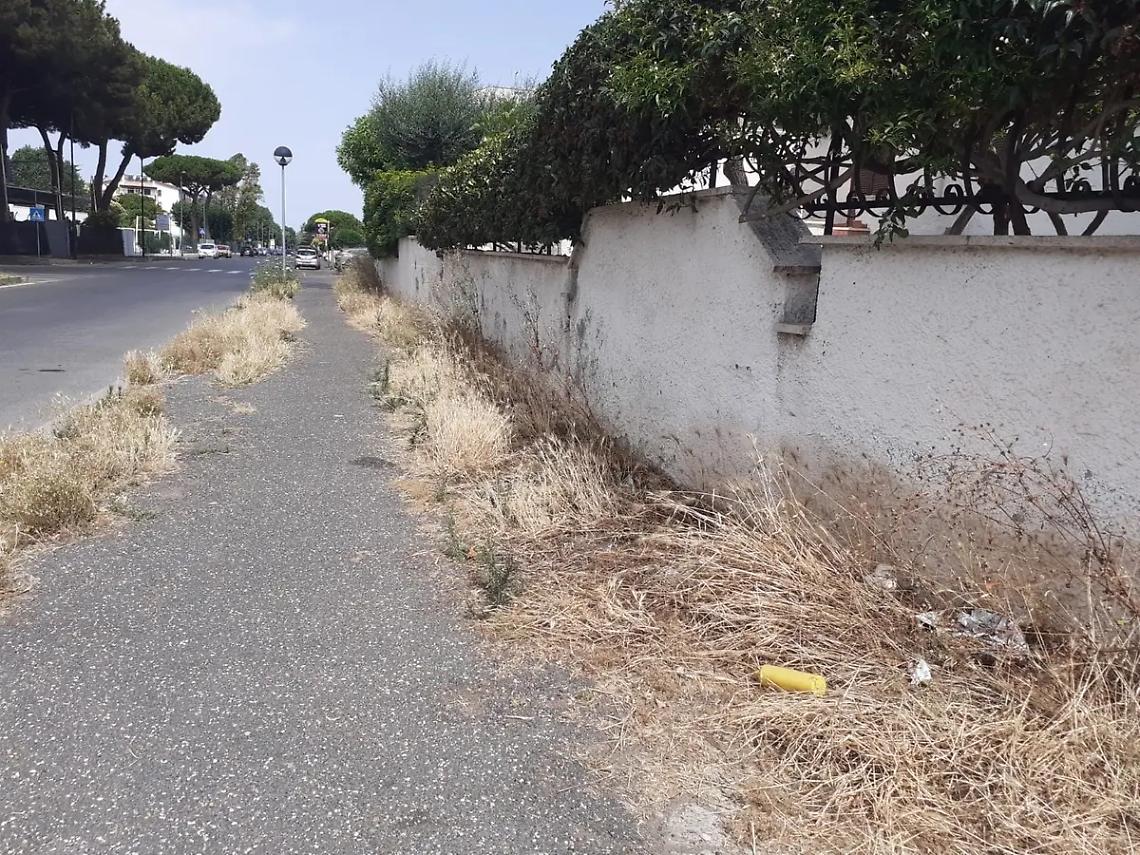 Degrado, abbandono rifiuti ... Cerenova scende in piazza- L&rsquo;INTERVISTA