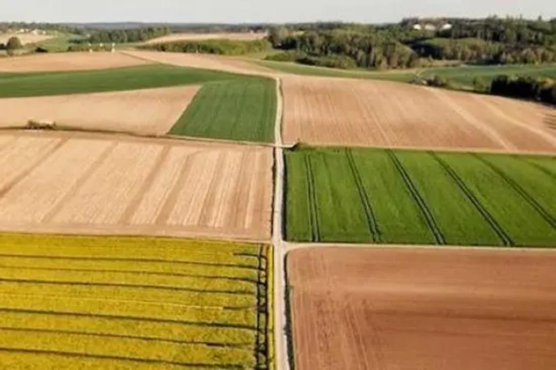 Nasce il Biodistretto dei Colli Etruschi