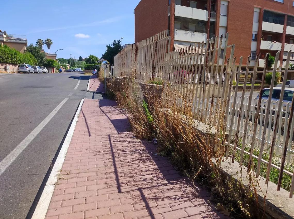 &laquo;Marciapiedi invasi dalle erbacce&raquo;