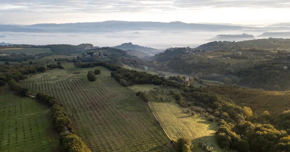 Sergio Caci: &laquo;Il Comune di Montalto ha rischiato di far saltare la nascita del biodistretto&raquo;